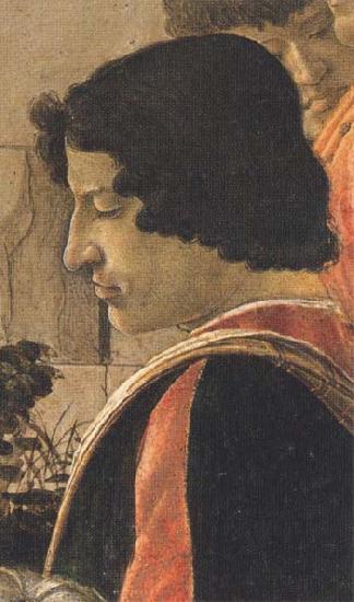 Sandro Botticelli Man in a short black tunic,standing on the right Germany oil painting art
